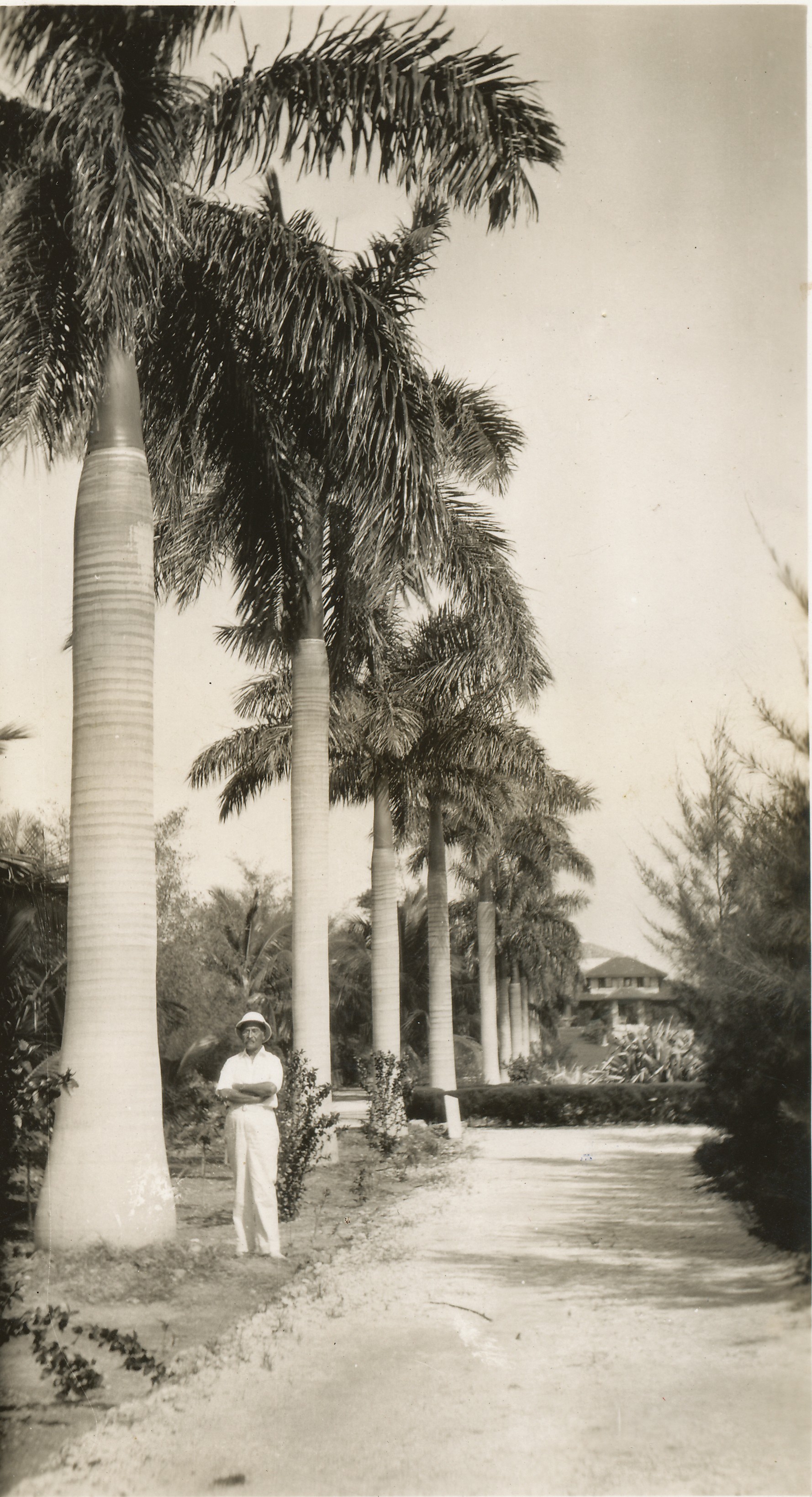 LHB_Royal_Palms